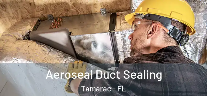 Aeroseal Duct Sealing Tamarac - FL